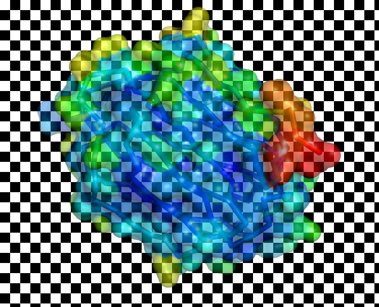 ray_opaque_background set to 0. The image from PyMOL is shown over a checkerboard.