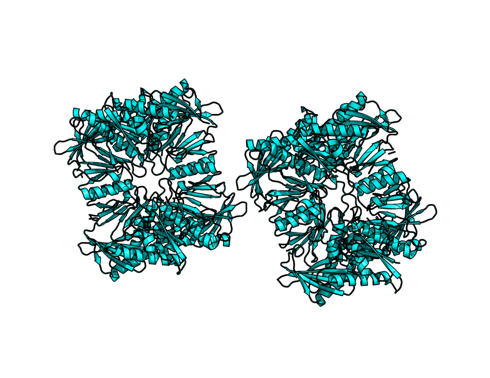 Molecule loaded