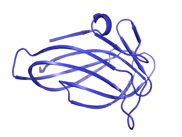 cartoon_rect_length 0.5