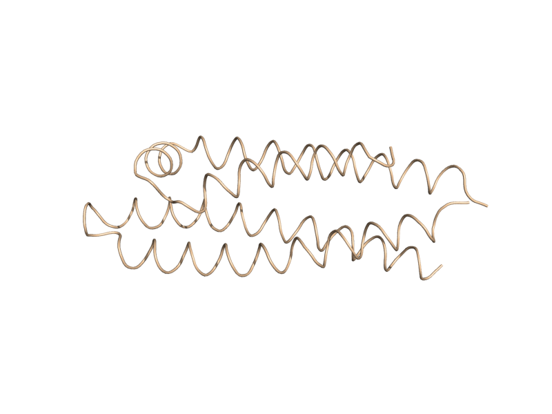 cartoon_loop