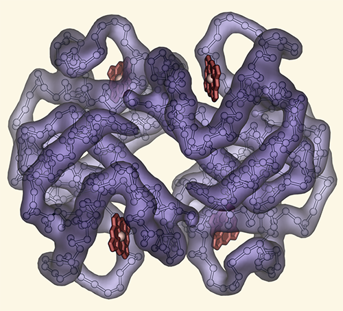 Irvinggeis pymol 500px.png