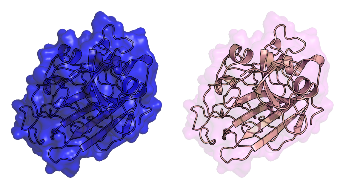 Different transparency settings on different objects.