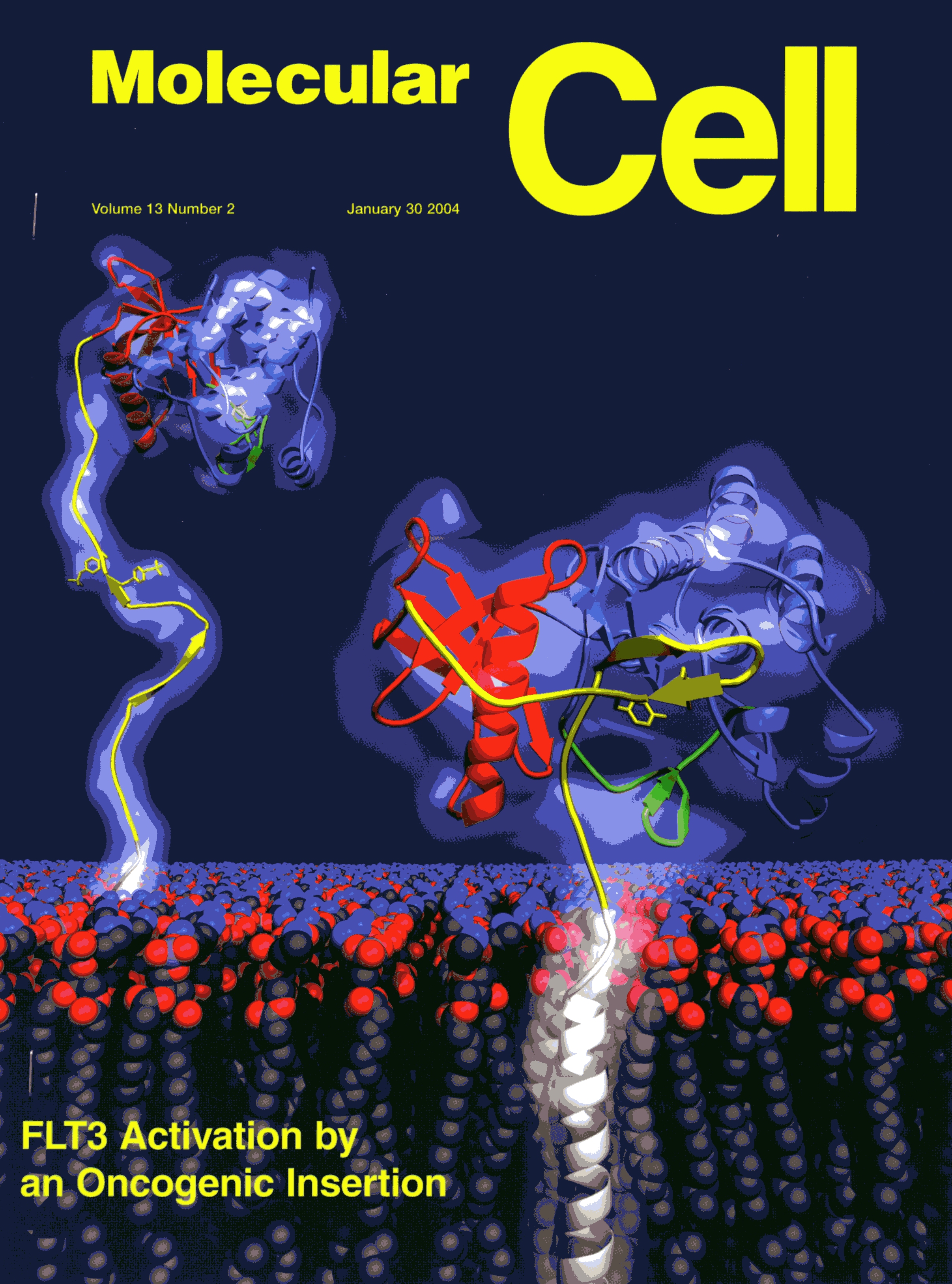 FLT3 Activation by an Oncogenic Insertion Molecular Cell, Volume 13 Number 2, January 30, 2004.