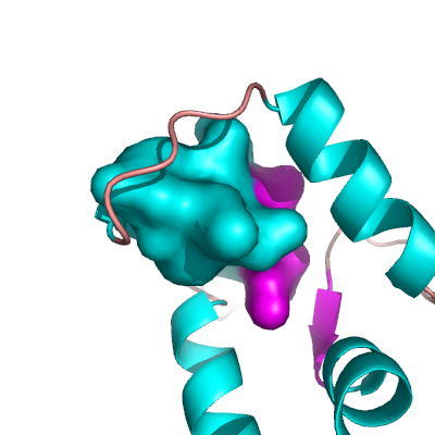 Example CLOSED Surface
