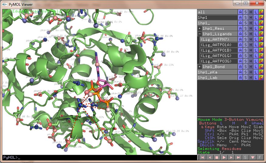 The easy menu does it easy to click on/off ligands and bonds