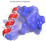 Exclude parts of surface