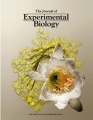 Deconstructing honeybee vitellogenin J. Exp. Biol., Volume 214, Issue 4, 2011.