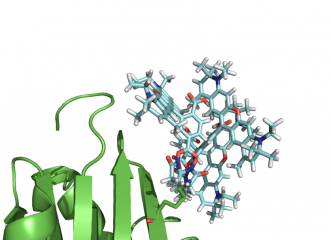 Place your dye how you want. You always get same ending position.