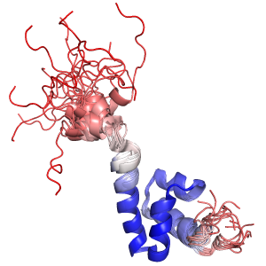 Intra xfit-1nmr.png