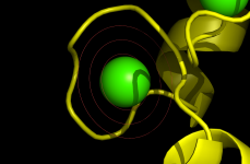 Circles of specified radius.