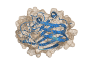 Mesh in ray_trace_mode,0