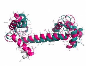 global alignment of 1cll and 1ggz