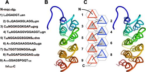 GrAFP nine-helix PPII bundle in two layers.
