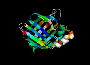 1cbs and 1hmt aligned and colored by RMSD. Dark blue is good alignment, higher deviations are in orange/yellow/red. Residues not used for alignment are colored white.
