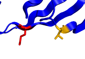This script will fix that, expanding the color attribute to the rest of the atoms.