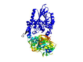 ColorByDisplacementCA used on 1HP1 and 1HPU aligned and colored by distance displacement.