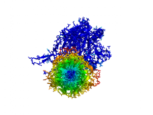 ColorByDisplacementAll used on 1HP1 and 1HPU aligned and colored by distance displacement. Dark blue is low displacement, higher displacements are in orange/yellow/red. Residues not used for alignment should be colored white.