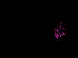 single unit, before running this program