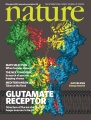 X-ray structure, symmetry and mechanism of an AMPA-subtype glutamate receptor Nature