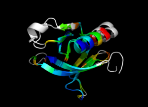 1eaz and 1fao aligned and colored by RMSD. Dark blue is good alignment, higher deviations are in orange/yellow/red. Residues not used for alignment are colored white.