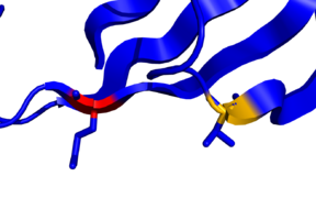 The alpha carbon here has a color property that does not match the rest of the residue.