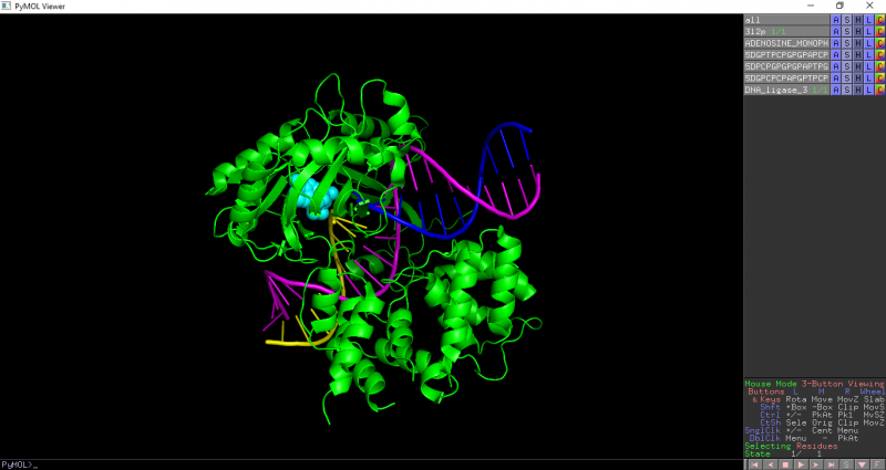 Distinct molecules in PDB entry 3l2p
