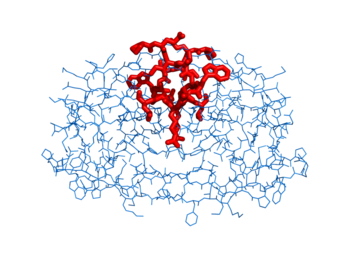 Line width set to 10 on residues 1-10 and then colored those residues red.