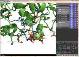 Example of the menu of pymol. Make it easy to switch on/off the pka atoms, the pka labels and hide sticks for the residues.