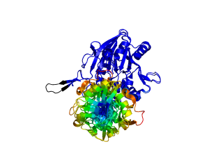 ColorByDisplacementCA used on 1HP1 and 1HPU aligned and colored by distance displacement.