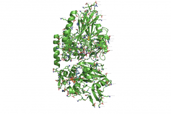 propka used on 1HP1.