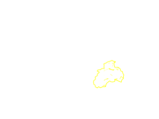 Outline of residues within 2Å of Lys85 on chain I. Notice the image background is transparent.