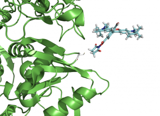 Mutate a residue through command line, and quickly put your dye there.