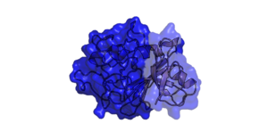 Different transparency settings on the same object.