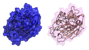 Different transparency settings on different objects.